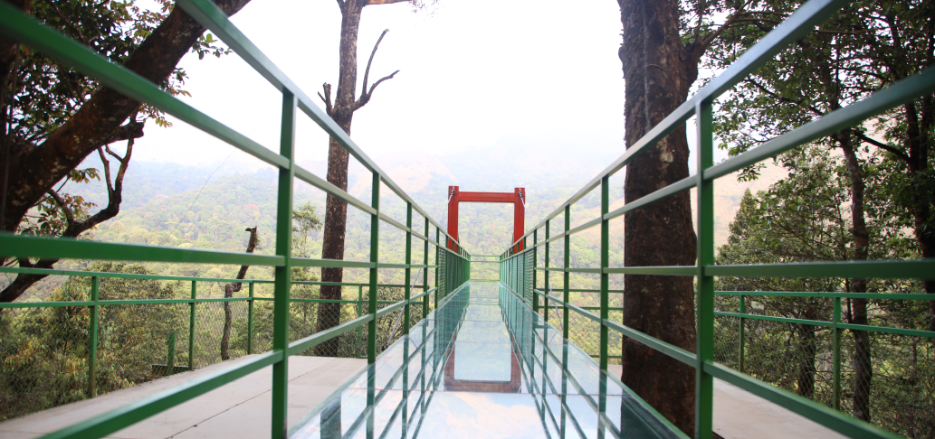 Glass Bridge 900 Kandi — Viewpoint in Meppadi and Chembra