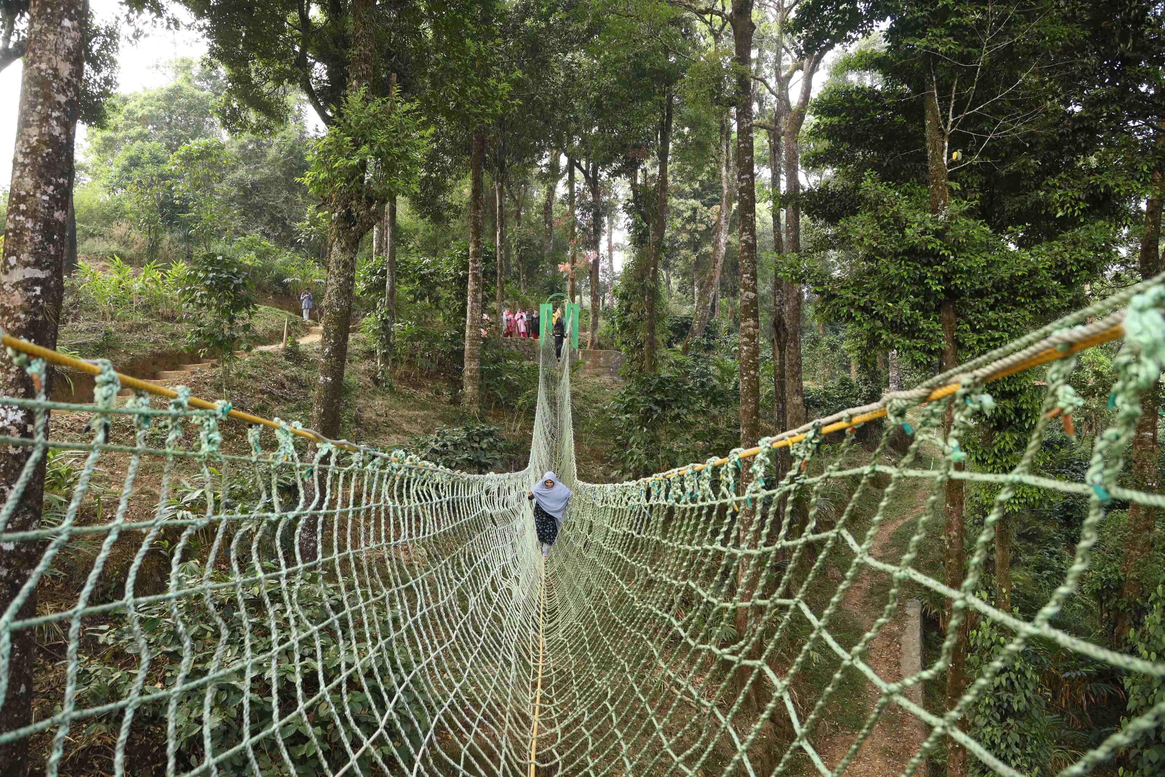 Glass Bridge 900 Kandi — Viewpoint in Meppadi and Chembra